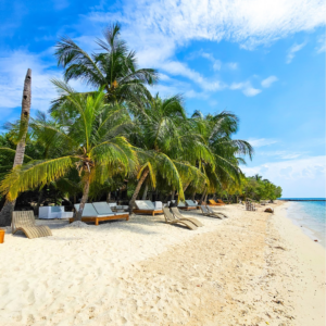 pasadÍa isla baruch