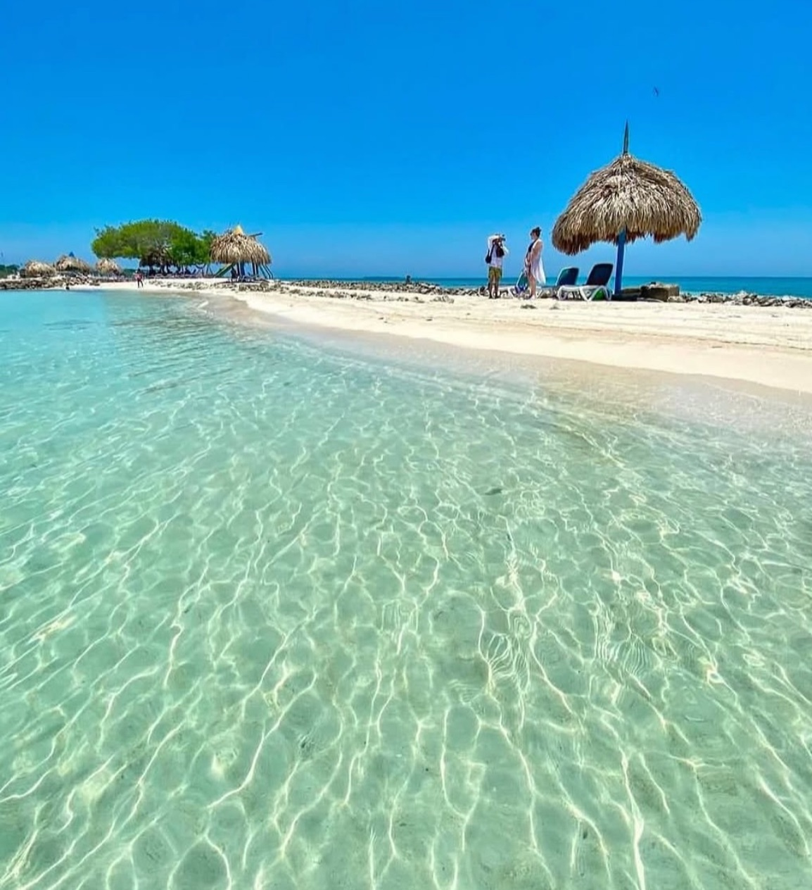 pasadÍa isla palma