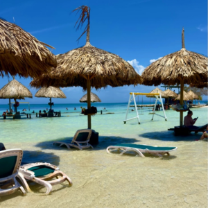 pasadÍa isla palma