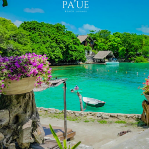 pasadÍa isla paue