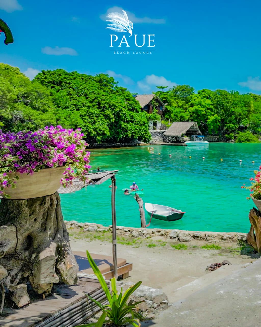 pasadÍa isla paue