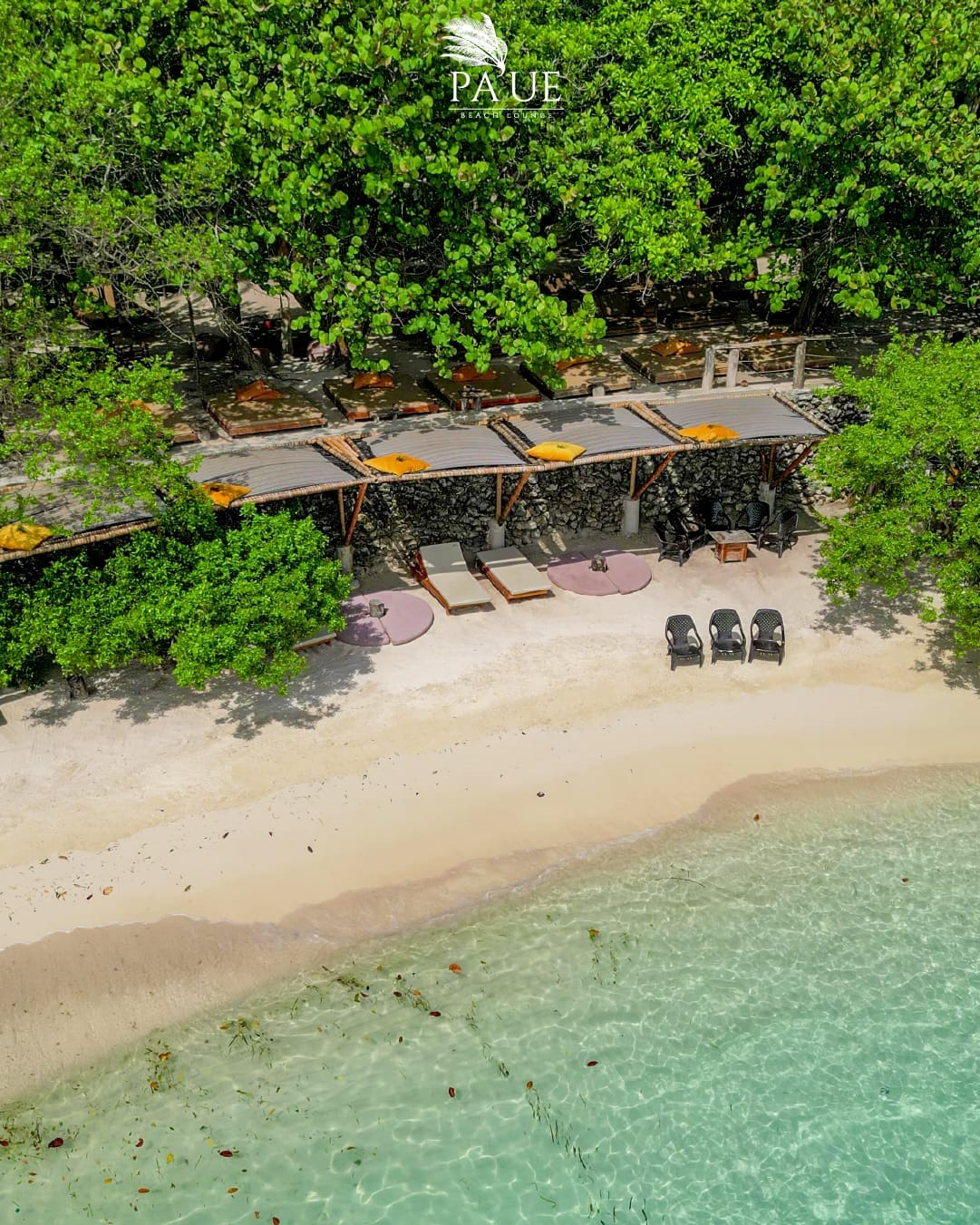 pasadÍa isla paue pasadÍa isla paue